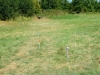 championnatfrance3d1314aout15bonneval_24