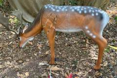 CHV_3D_20092026_00009