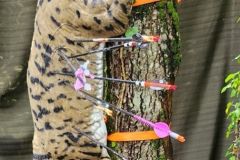 ChampVendee3DLaGarnache22092024_024
