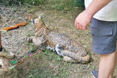 ValletChReg3D12072025_020