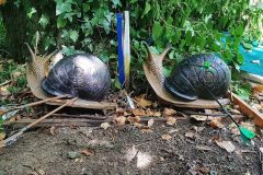 ValletChReg3D12072025_052