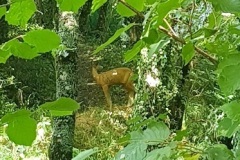 ValletChReg3D12072025_060