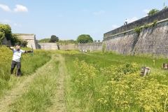 StMartinEnRe27042025_028