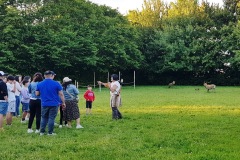 CluedoCairn180524_024