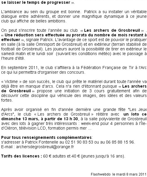 flashwebdo8mars11_02