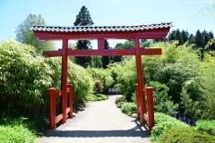 escapadejaponaisemaulevrier22juin19_43