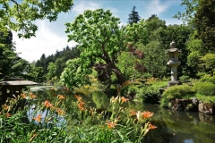 escapadejaponaisemaulevrier22juin19_49