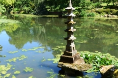 escapadejaponaisemaulevrier22juin19_61