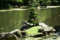 escapadejaponaisemaulevrier22juin19_62
