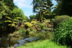 escapadejaponaisemaulevrier22juin19_66