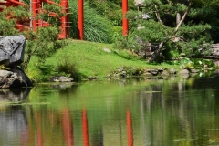 escapadejaponaisemaulevrier22juin19_68