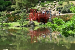 escapadejaponaisemaulevrier22juin19_71