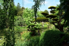 escapadejaponaisemaulevrier22juin19_73