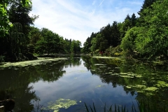 escapadejaponaisemaulevrier22juin19_82