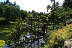 escapadejaponaisemaulevrier22juin19_83