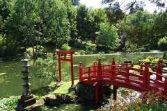 escapadejaponaisemaulevrier22juin19_84