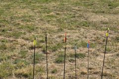 TirduRoy250426_00037