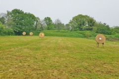 TirRoy26042025_010