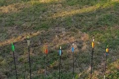 TirRoy26042025_064